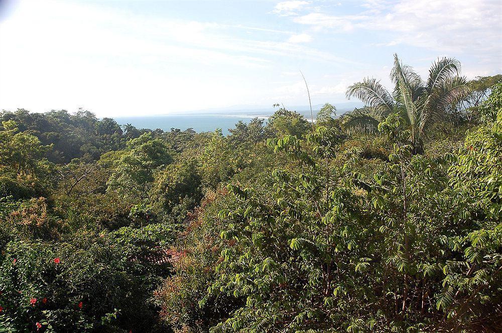 Hotel California Manuel Antonio Eksteriør bilde